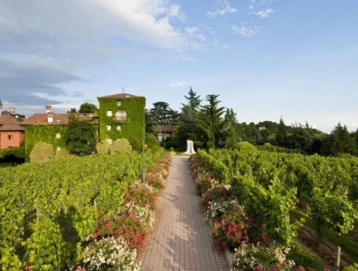 Image for Top 6 Reasons to go to L'Albereta for a wellness retreat