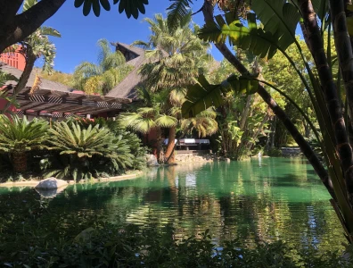 Image for Oli’s Travel Review: Asia Gardens Hotel & Thai Spa Retreat, Spain