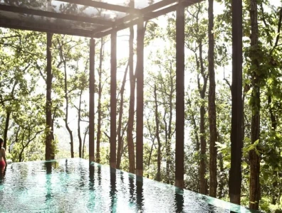 Image for 5 Wellness Trends to Watch