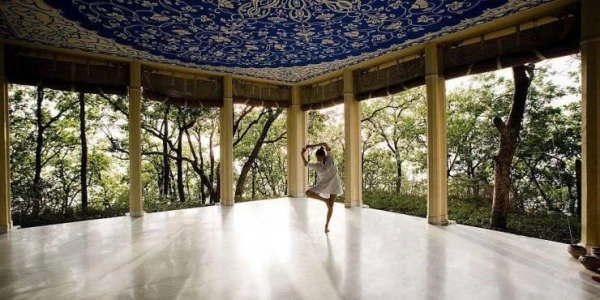 Image for Ananda in the Himalayas, India