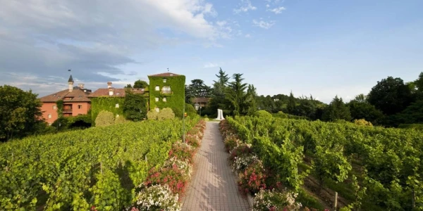 Image for L’Albereta