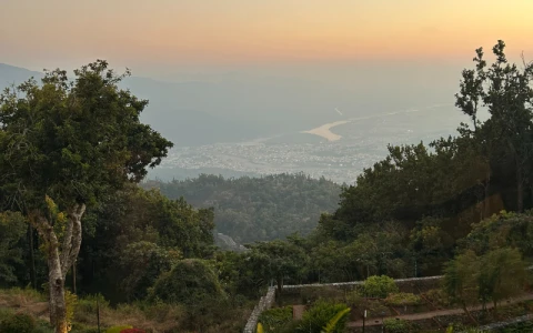 Image for 