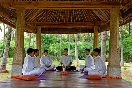 Image for Fitness and Activities at Shreyas Yoga Retreat