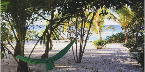 Image for Wellness at Wellbeing Escapes Retreat