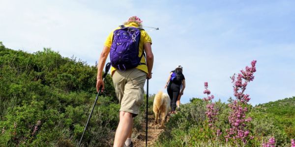 Image for Wellbeing Escapes Yoga & Hiking Retreat, Crete