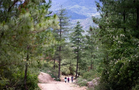 Image for Bhutan Spirit Sanctuary, Bhutan