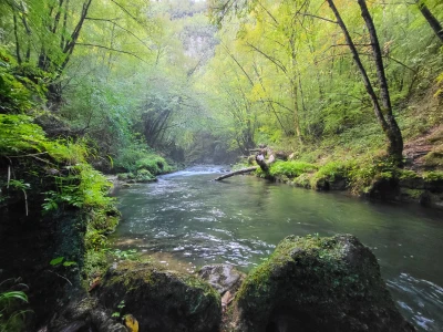 Image for Hiking for Longevity at Palazzo Fiuggi, Italy