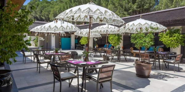 Image for What’s on the menu at Shanti-Som?