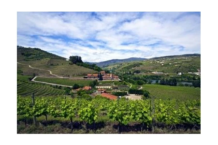 Image for Six Senses Douro Valley 