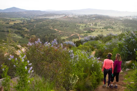 Image for Rancho La Puerta, Mexico 