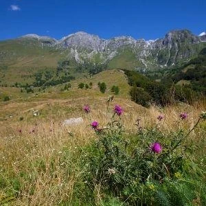 Image for Pristine Nature and dedication to sustainability