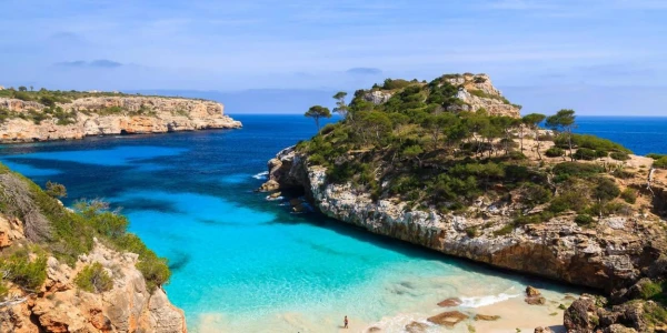 Image for The Body Camp Mallorca