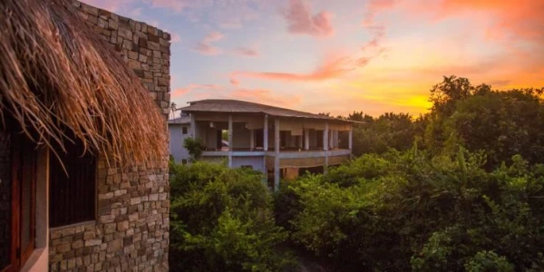 Image for Explore our Gut Health Retreats