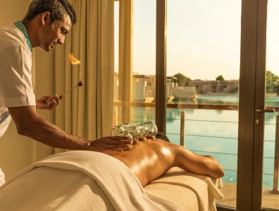 Image for Ayurveda and Traditional Healing