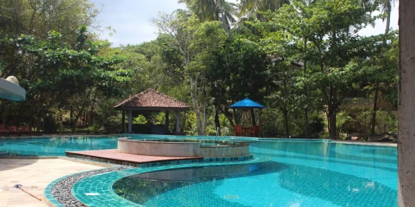 Image for Mental health-focused wellness retreats