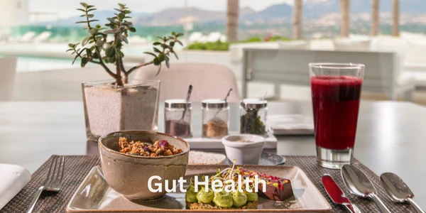 Image for Gut health