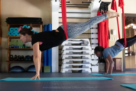 Image for 4. You can visit any time of the year 