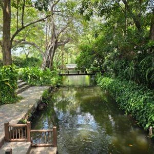 Image for Who should visit RXV Wellness Village?