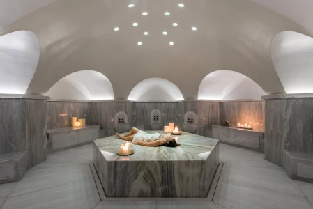 Image for 3. Euphoria Retreat, Greece – Nutrigenomics Weight Balance and Metabolic Homeostasis Retreat 