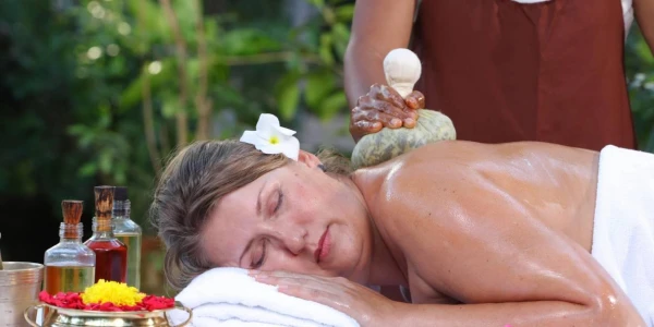 Image for 1. The Rejuvenating Ayurveda Healing 