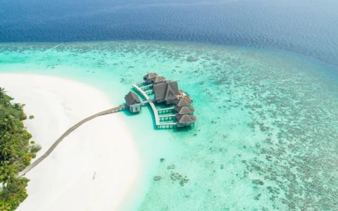 Image for Maldives