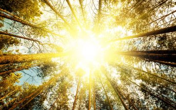 Why Sunbathing is Good For You
