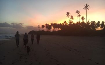  Sen Wellness Sanctuary in Sri Lanka 