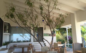 The Retreat in Costa Rica