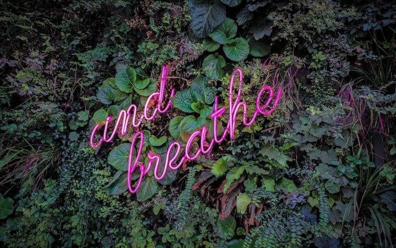 What is Breathwork What is Breathwork