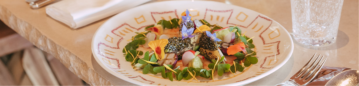 Bowls of colourful, nutritious looking food on a white background
