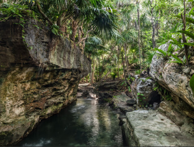 View looking out into nature and the see from a nature retreat bedroom