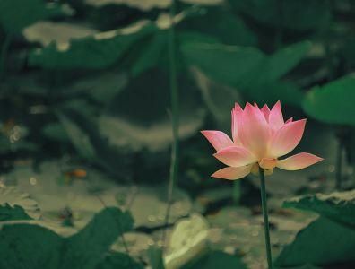 Stress management Retreats | Wellbeing Escapes
