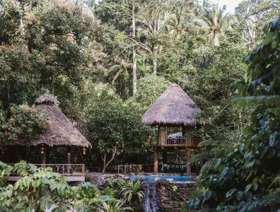 Straw huts nestled in lush natural surroundings at an eco retreat