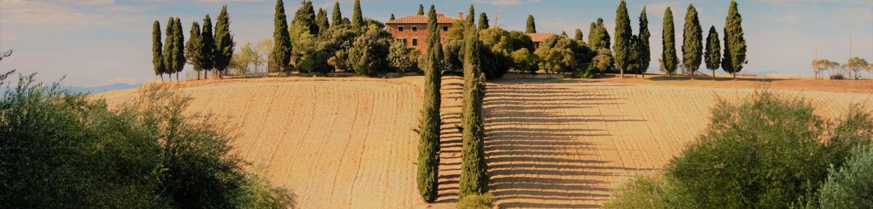 Italy Italy