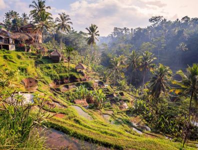 Bali (Indonesia)