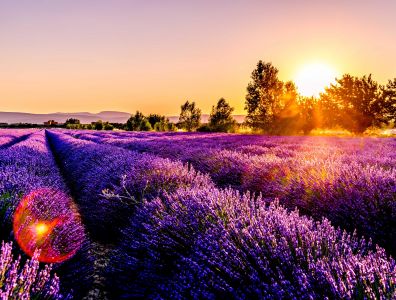 France France
