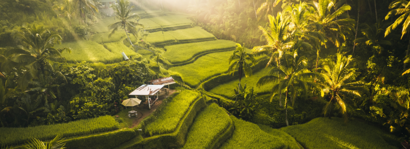 Bali (Indonesia) Bali (Indonesia)