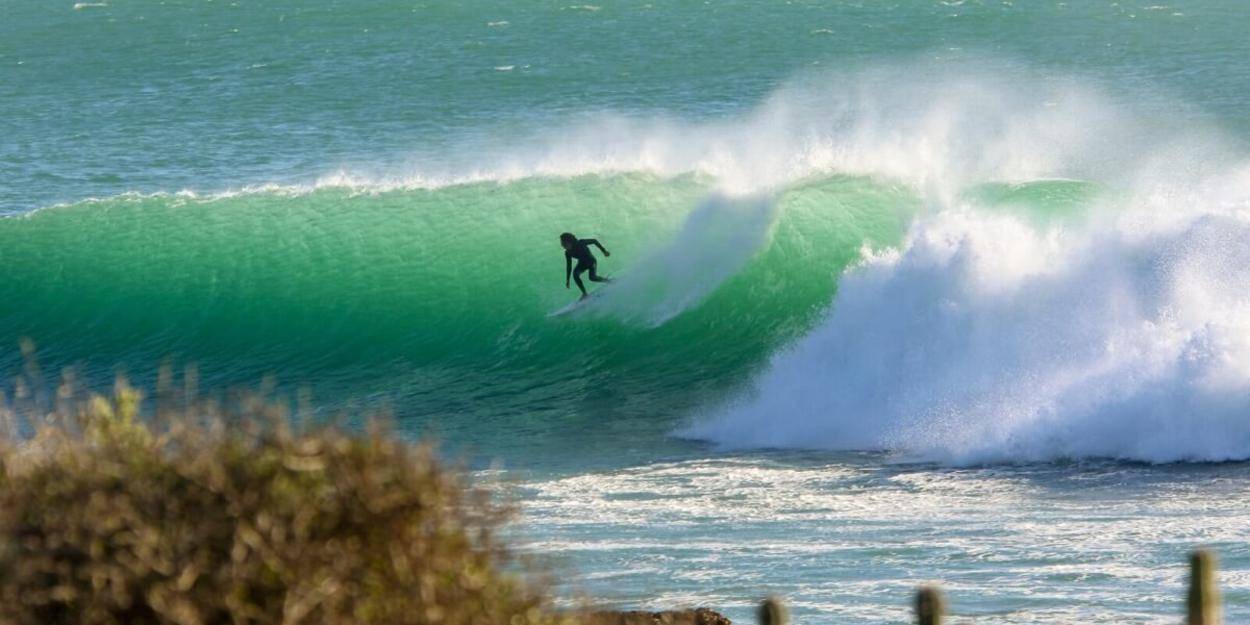 Yogi Surfer in Agadir 