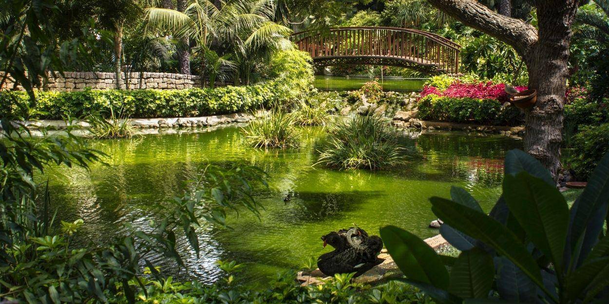 Hotel Botanico & The Oriental Spa Garden