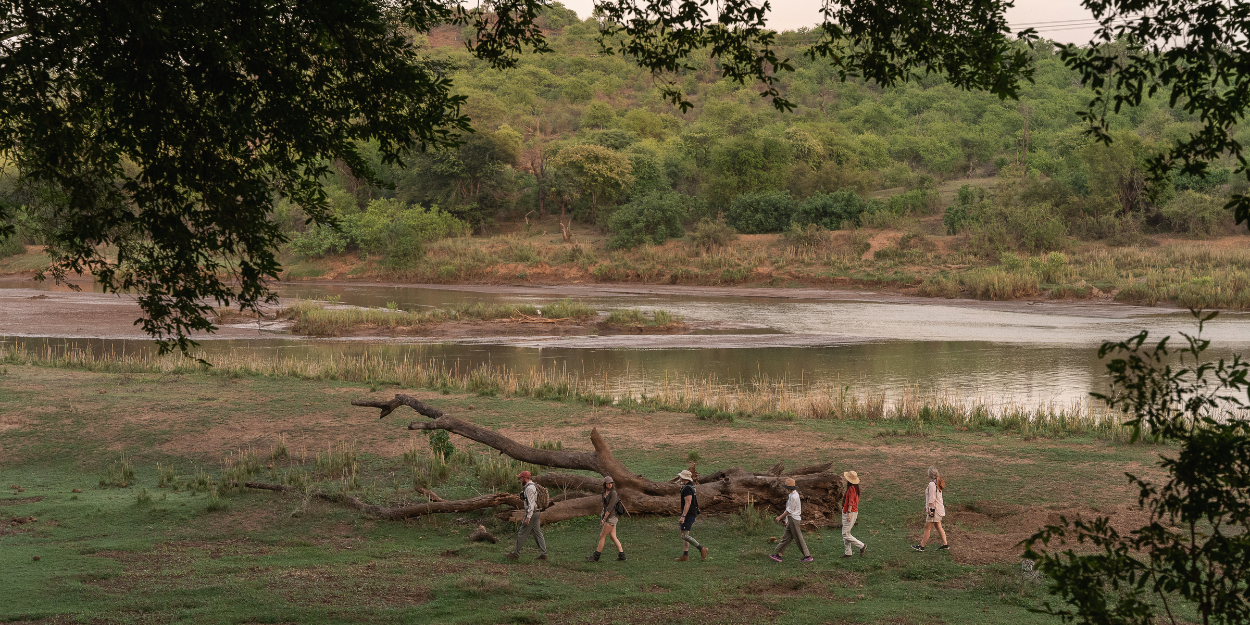 Line of people walk through the African wilderness