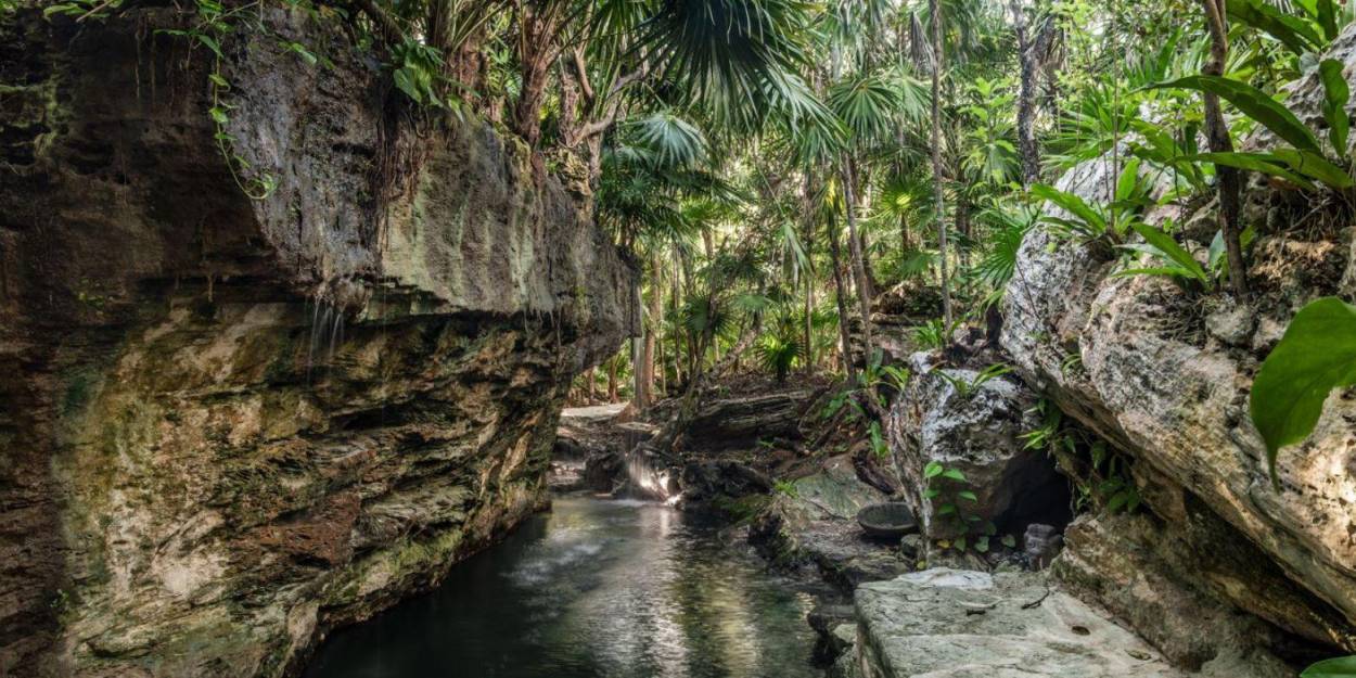 Jungle corners at Palmaïa – The House of AïA A stream and rockery shrouded in tropical jungle greenery