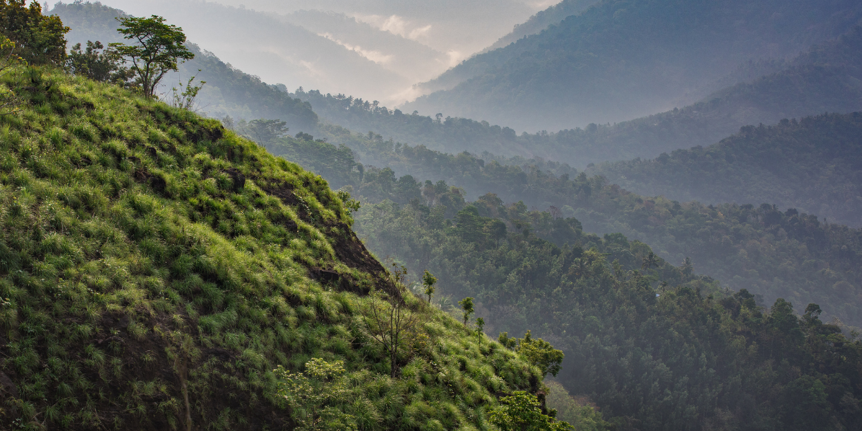 Forest-cloaked hills on the outskirts of Kerala, India