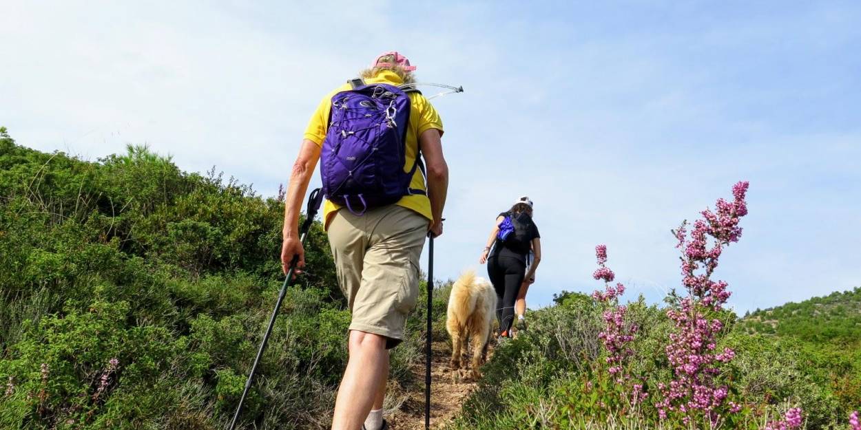 Yoga and Hiking Retreat Greece