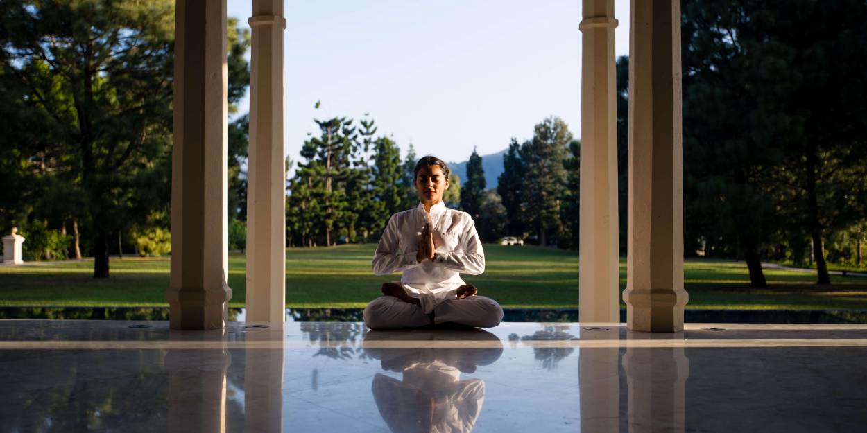 Ananda in the Himalayas