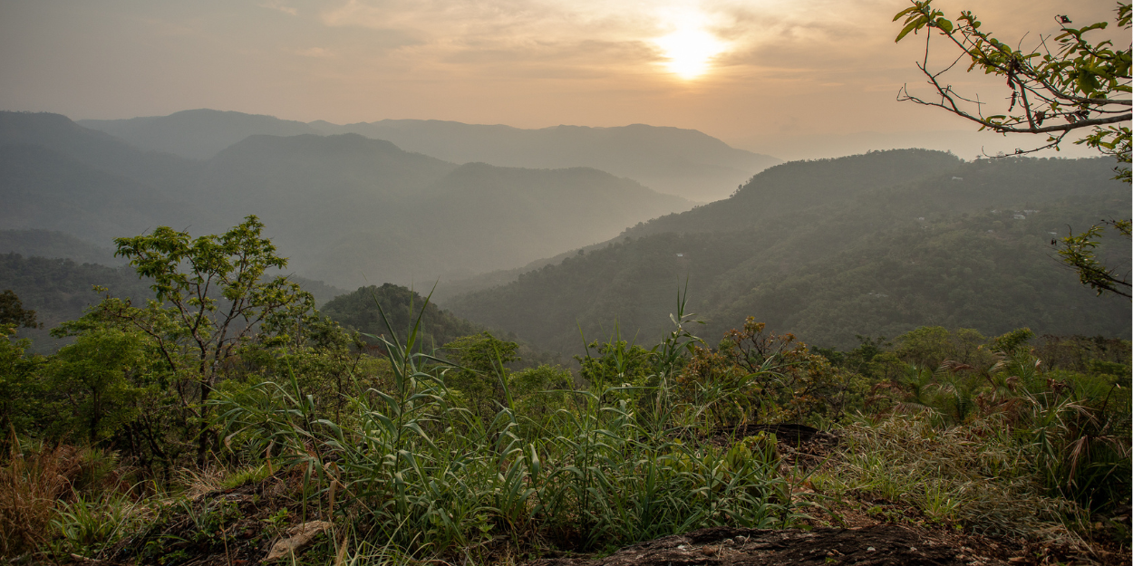 Sun sets over misty hills and forest in Kerala, India