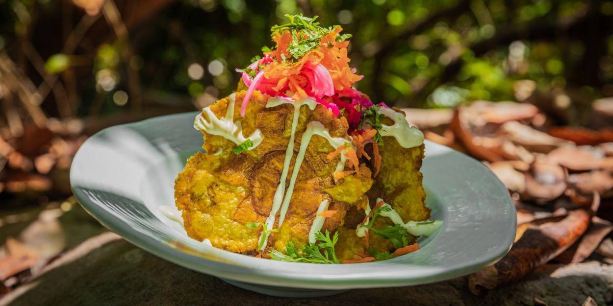 Gourmet cuisine at Palmaïa – The House of AïA Vegetable fritters piled high with a salad topping and white dressing, served in a tropical garden setting