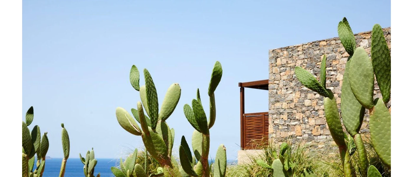 Corner of a low-rise cobblestone villa, edged by greenery and overlooking the sea