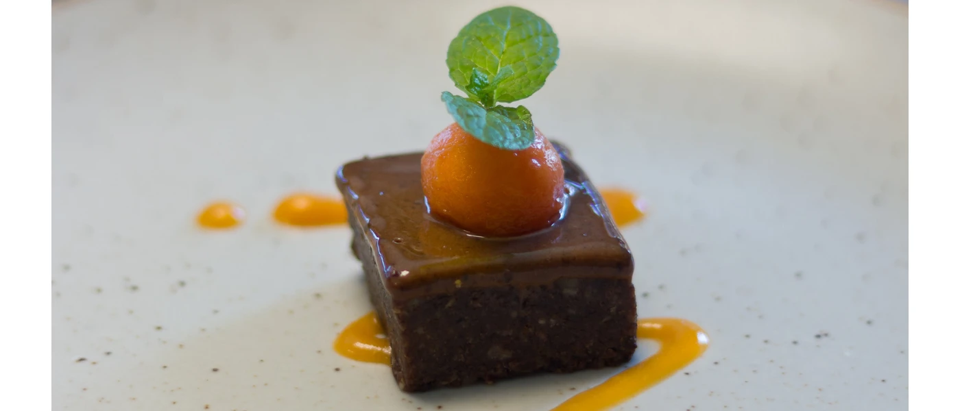 Cube of chocolate-like dessert with a fruit and mint garnish
