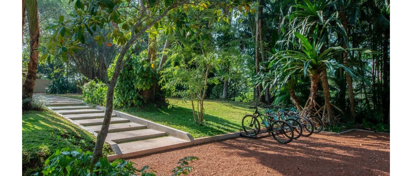 Bikes lined up next to a paved pathway surrounded by jungle greenery