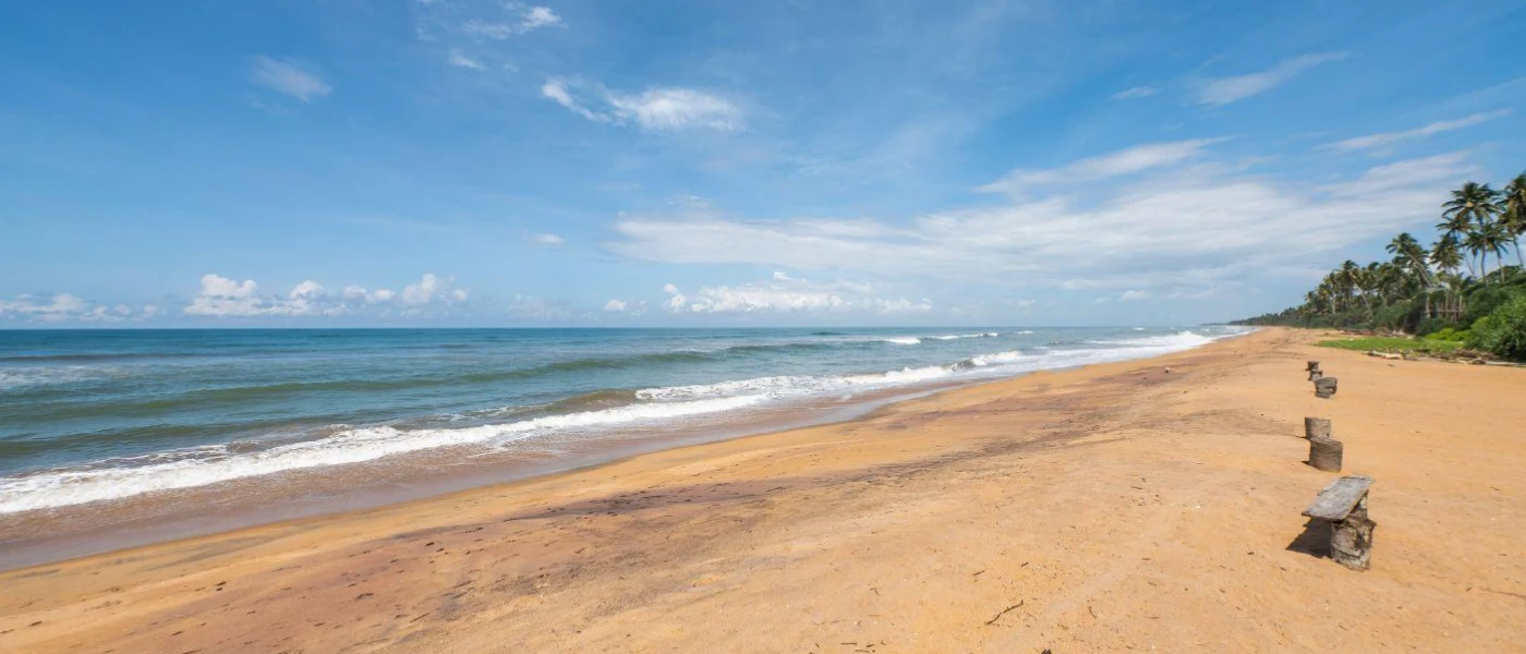 Golden beach backed by tropical greenery, next to the ocean and under a blue sky